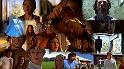 Smallville S05E03Collage